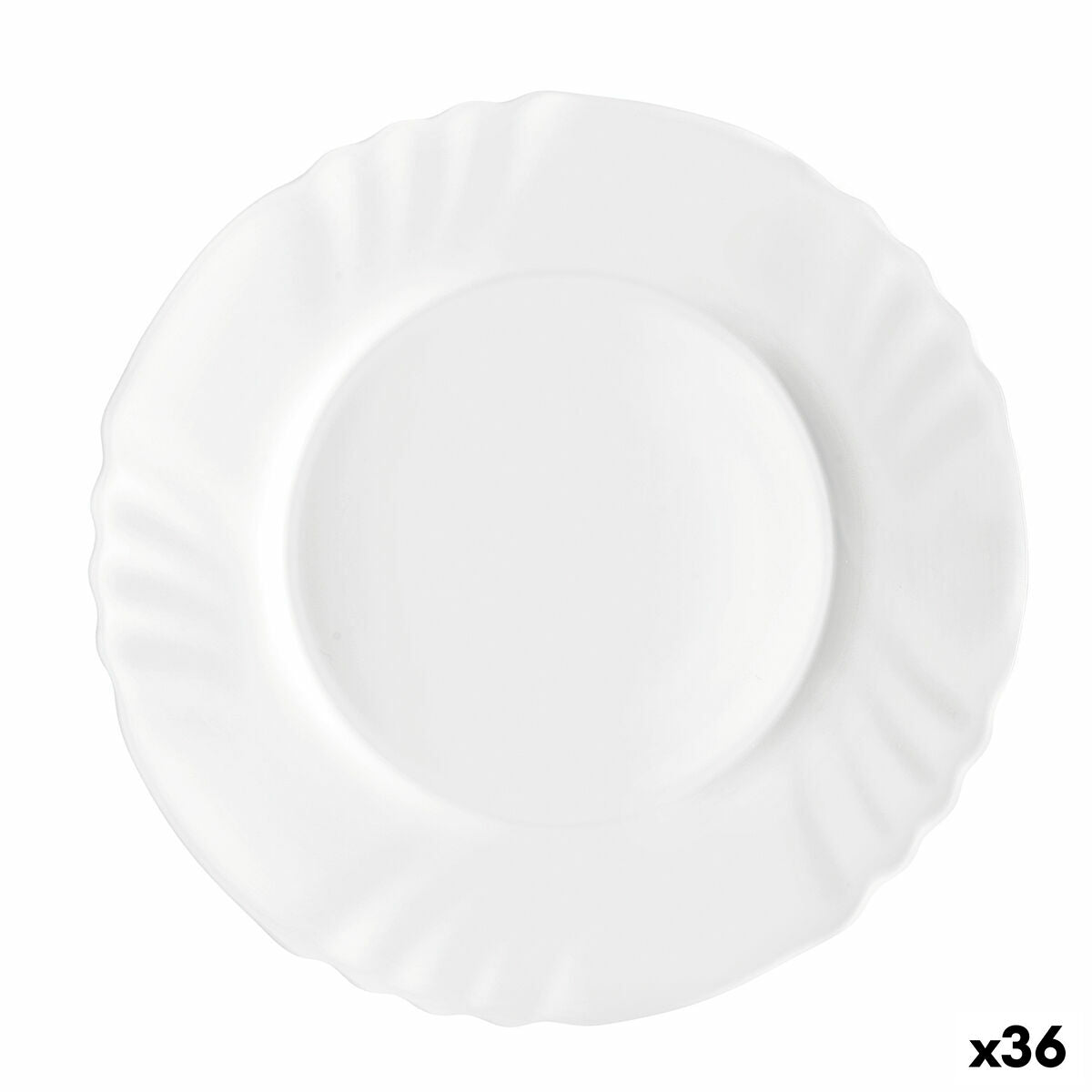 Jälkiruokalautanen 20 cm lasi, konepesun kestävä, 36 kpl - Bormioli Rocco