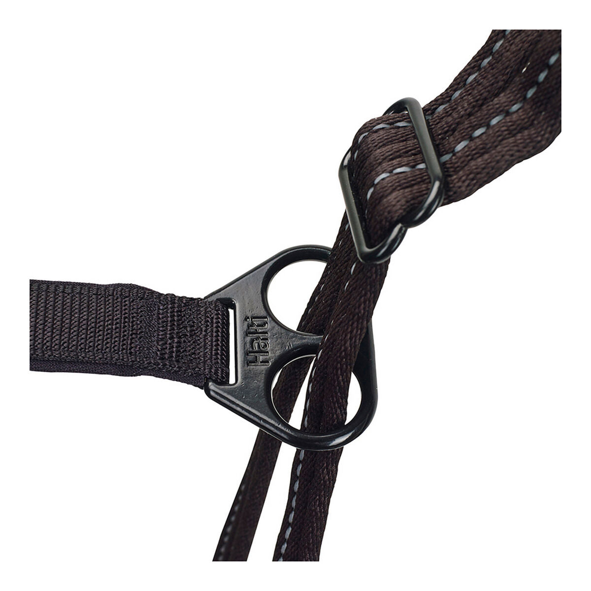 Koiran valjaat 34-56 cm, säädettävä M nylon - keskikokoisille koirille