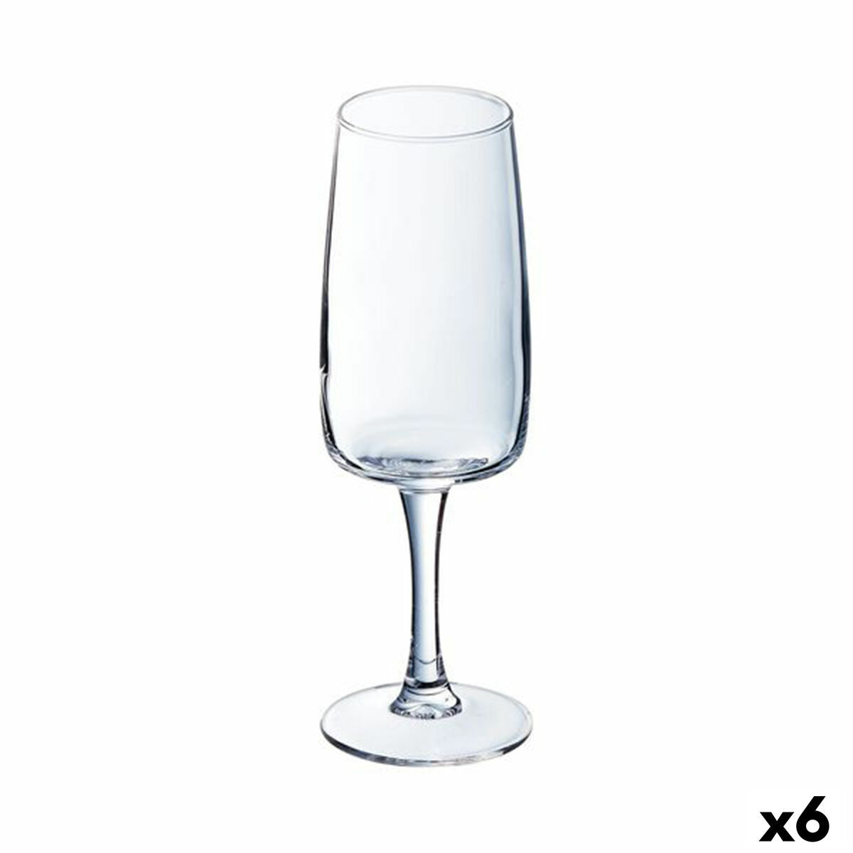 Samppanjalasi 170 ml, 6 kpl - läpinäkyvä lasi, konepestävä elegantti muotoilu