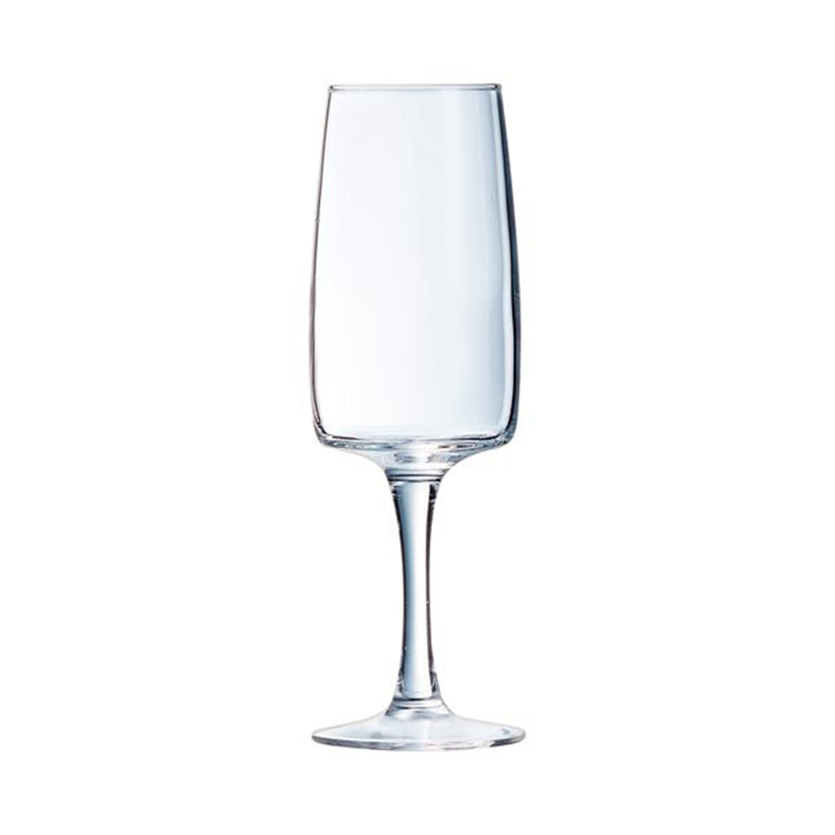 Samppanjalasi 170 ml, 6 kpl - läpinäkyvä lasi, konepestävä elegantti muotoilu